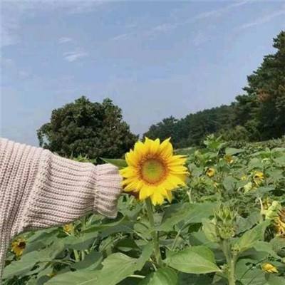 【境内疫情观察】江苏新增39例本土病例（7月25日）